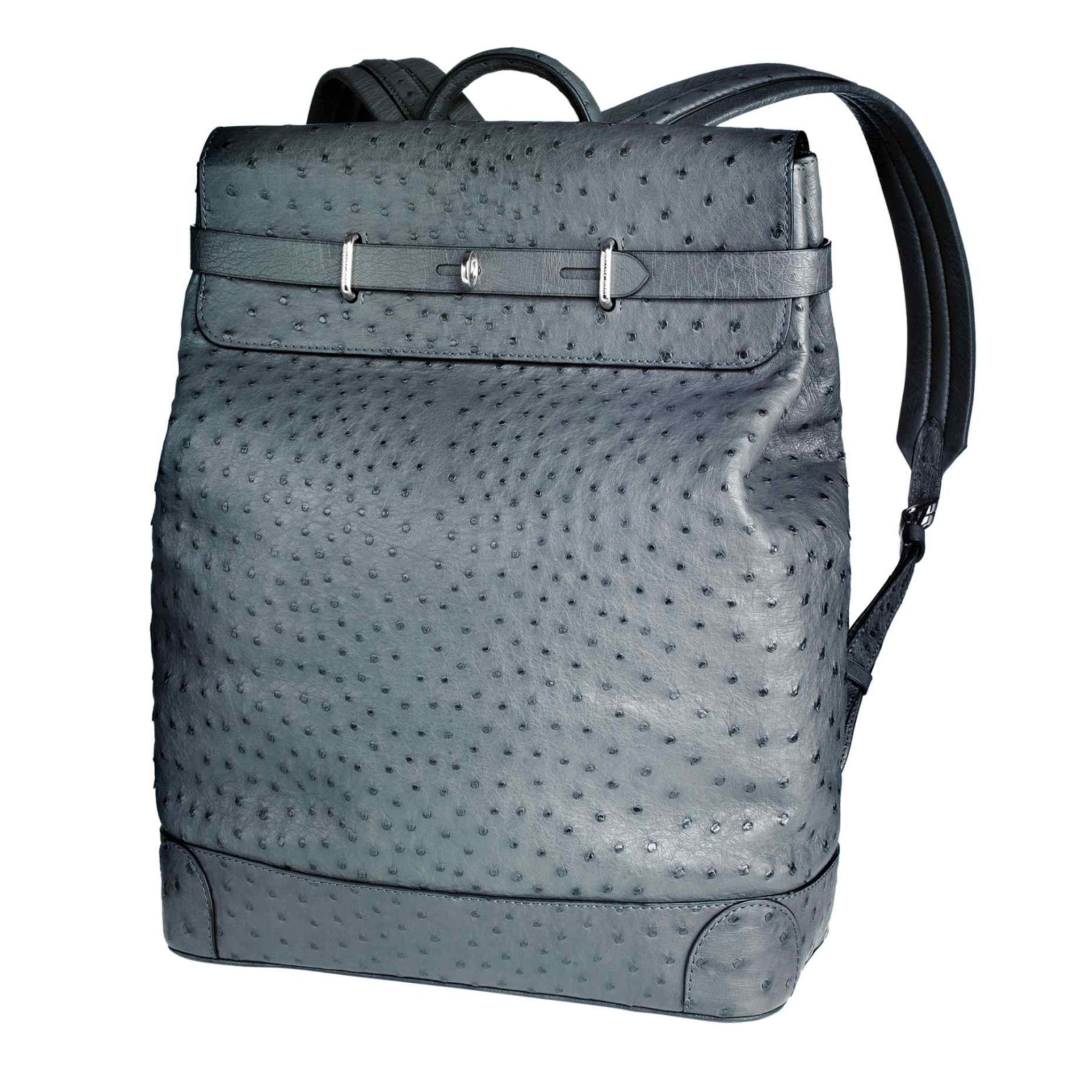 Disappear Here: Louis Vuitton Ostrich Steamer Backpack.