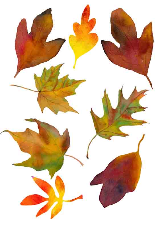 free-printable-colored-fall-leaves-printable-templates