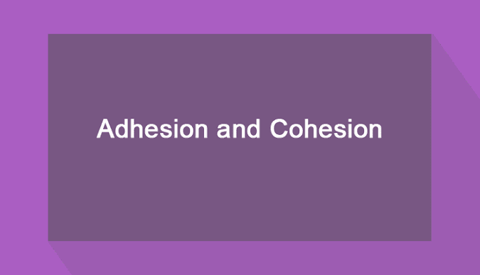 Difference between Adhesion and Cohesion