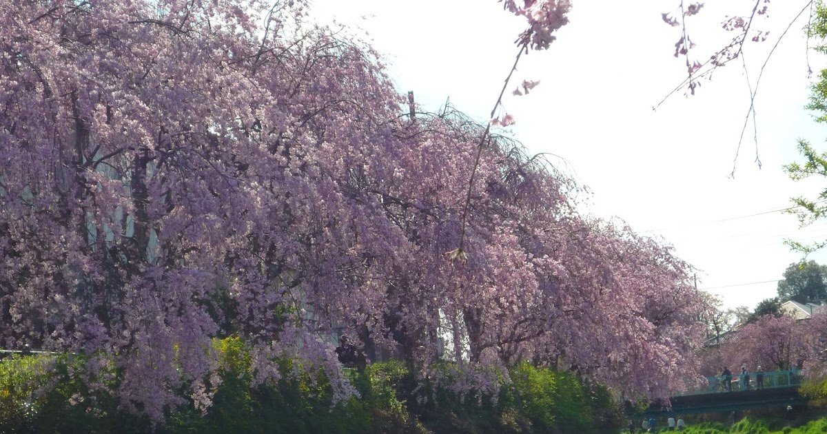 倭は国のまほろば 古事記 倭建命の国偲び歌 気ままに何処でも万葉集