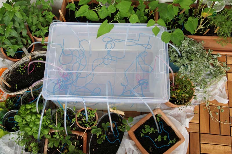 pflanzen bewässerungssystem balkon