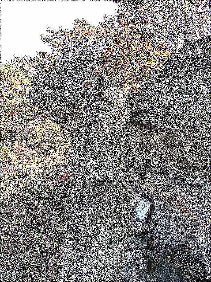 화순 영구산 운주사 화순 영구산 운주사