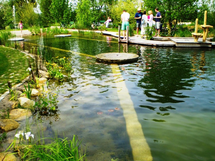 Piscinas ecológicas (naturales) Fernando Ruz (Chileangarden)