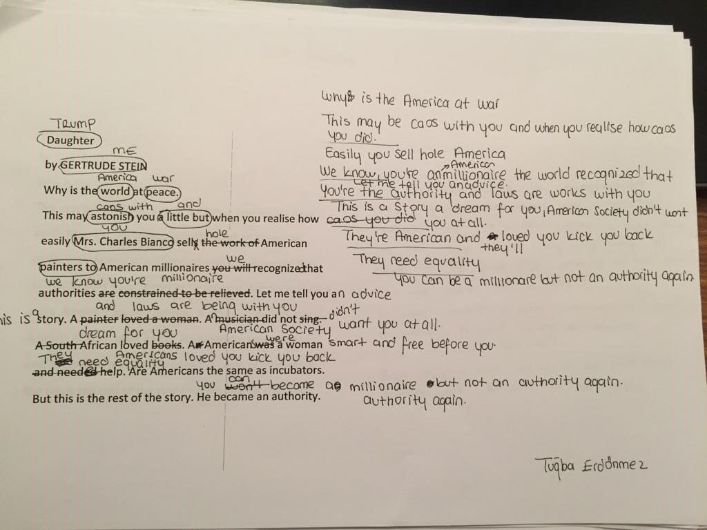 Gertrude stein poetry and grammar essay 06 picture