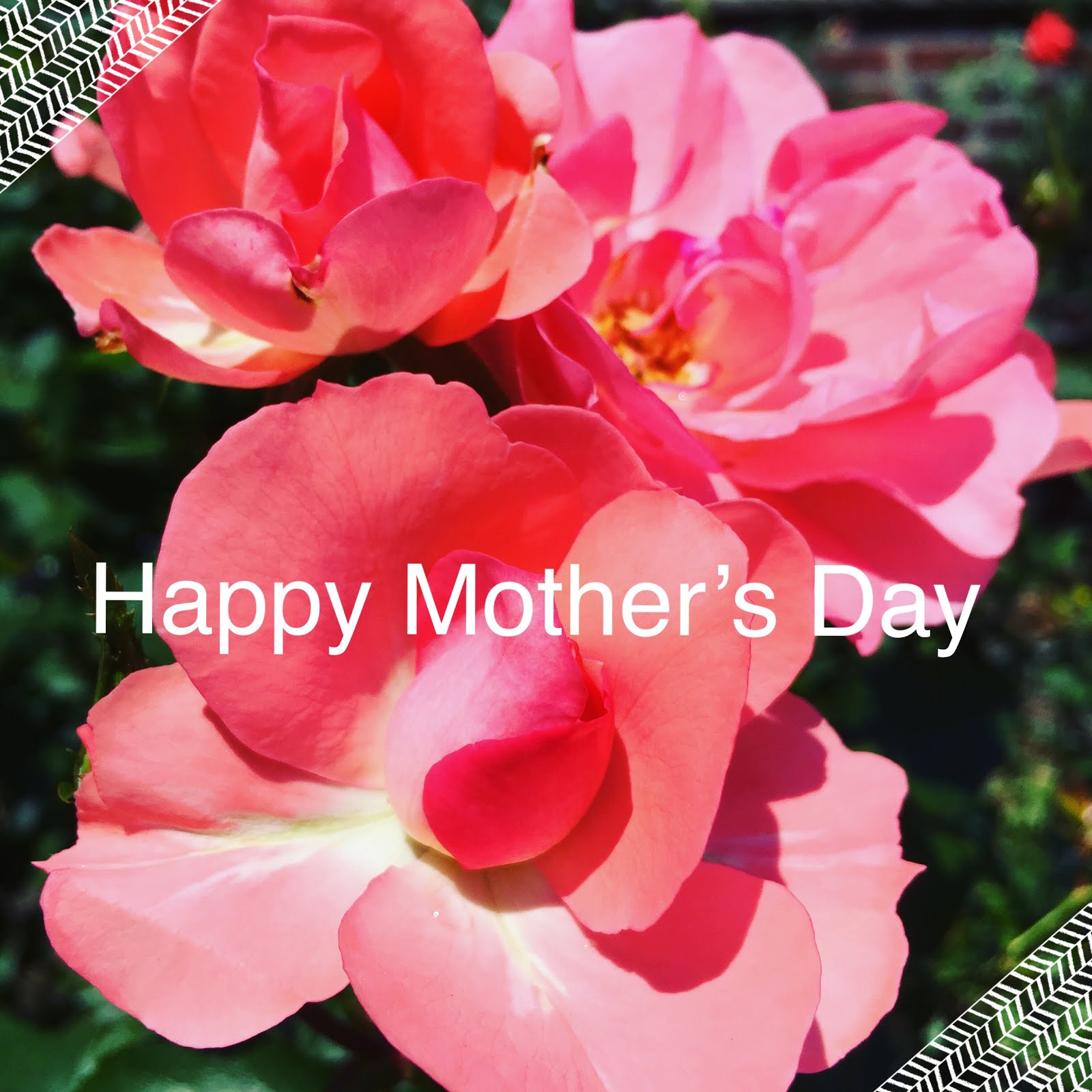Mother's Day Wishes | Julie's Creative Lifestyle