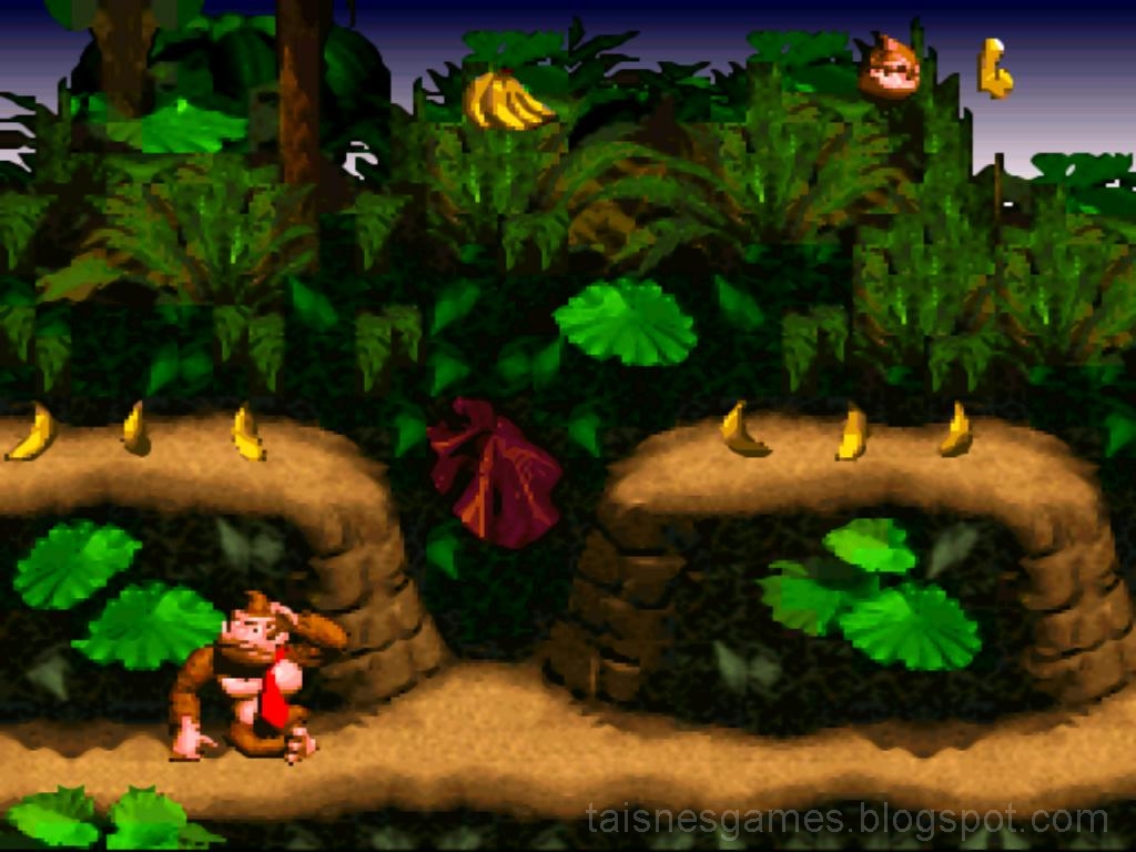 Classic Game: Donkey Kong Country