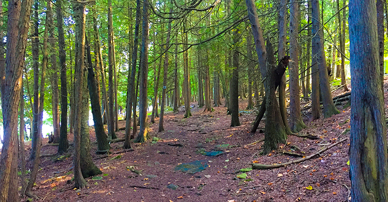 Wisconsin Explorer Hiking The Ice Age Trail Sturgeon Bay Segment