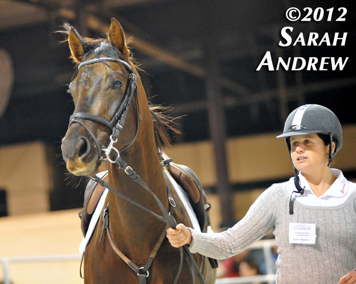 Thoroughbred Daily News Staff Blog: Retired Racehorse Trainer Challenge