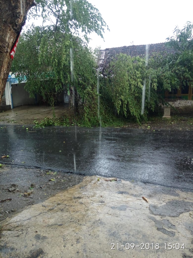 Paling Keren 30 Gambar Hujan Deras Di Depan Rumah Arti Gambar