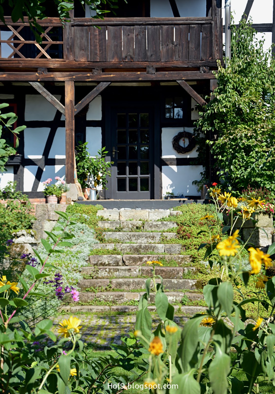 Hof 9 September 2016