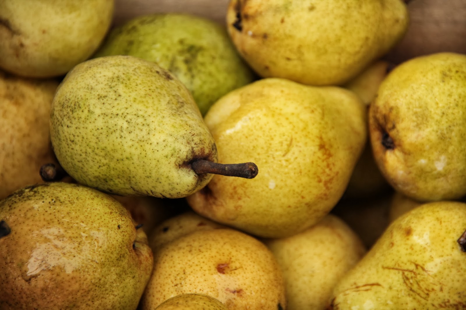 Cheverly Community Market This week at the Market Rebert Farm/Benny's Fruit Stand