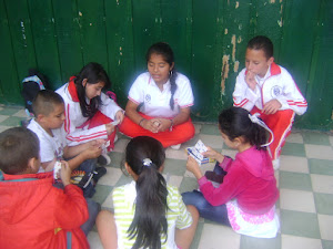 SEMILLAS CRIC XXI