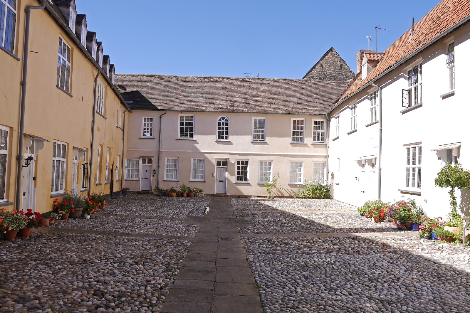 Walking in the country King's Lynn