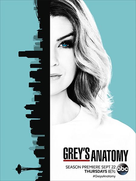 Grey's Anatomy 2016: Season 13