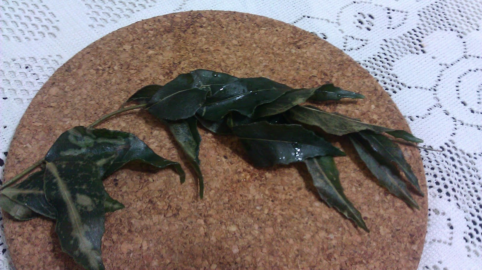 Gujarati Kadhi Desi Zayeka