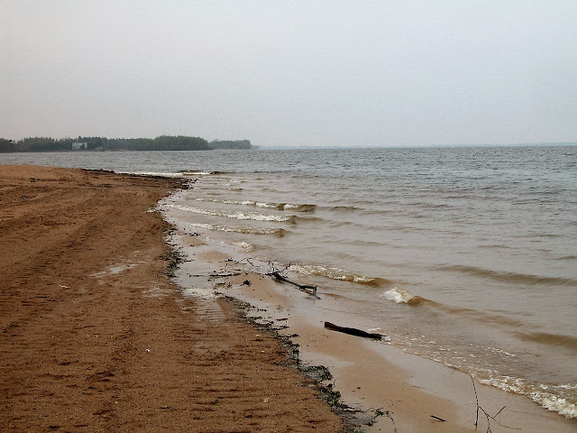 DSCN0084.JPG