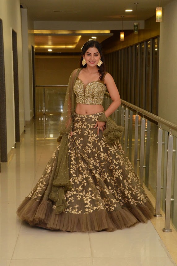 Kashmira Pardeshi at Narthanasala Pre-Release