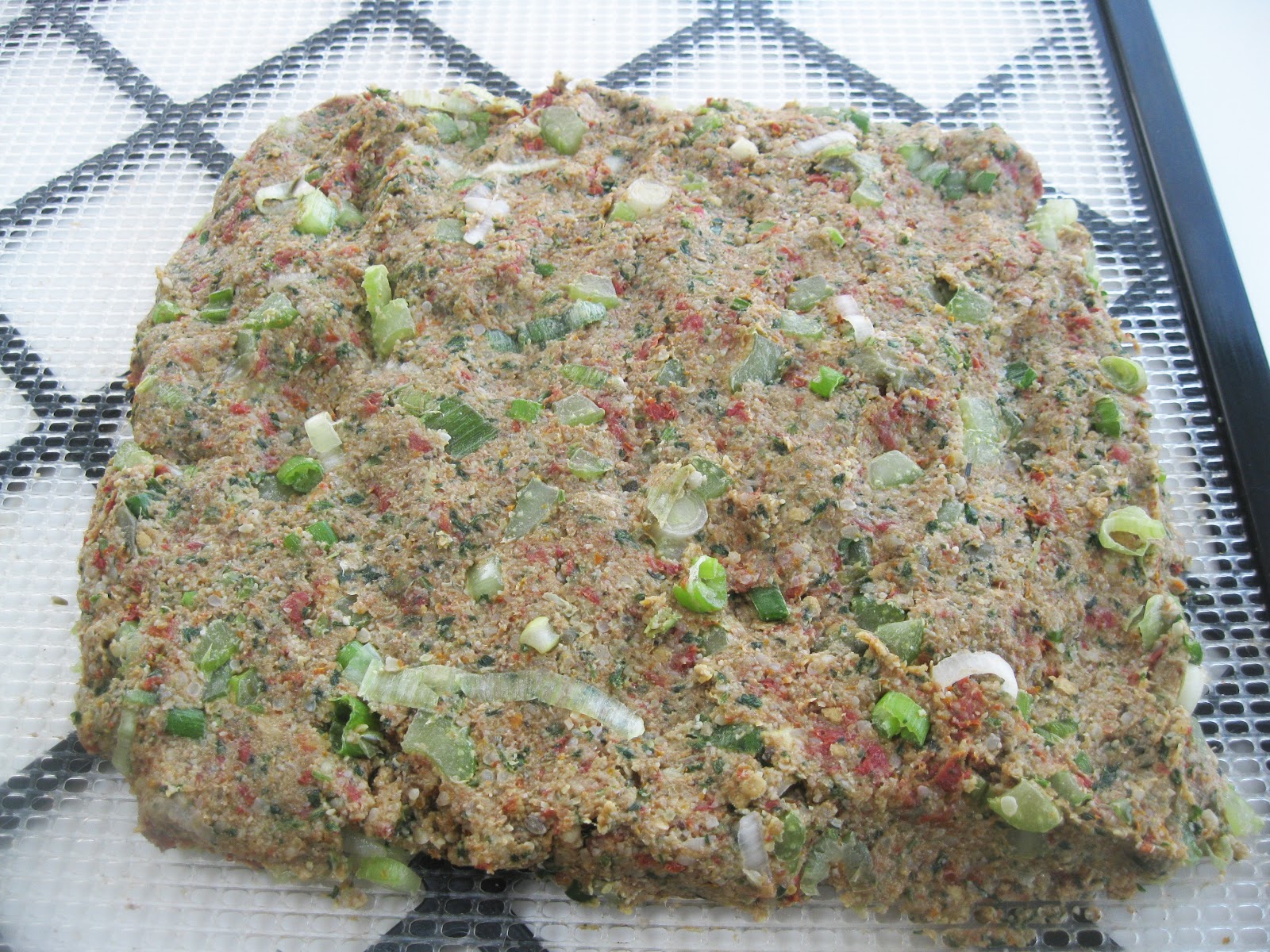 Raw Food in the Real World Italian Veggie Burgers with Sun Dried Tomatoes