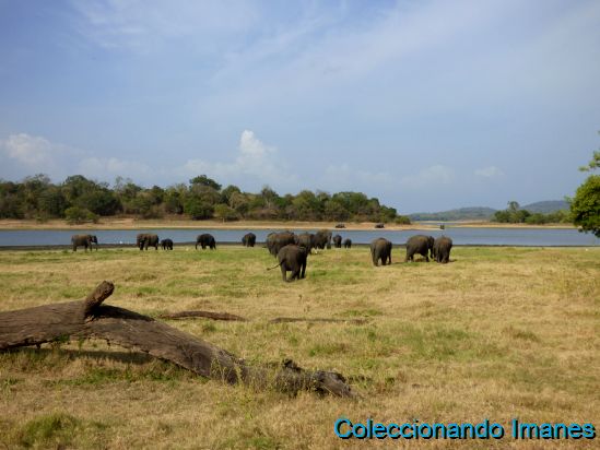 Sigiriya - Datos prácticos de un viaje a Sri Lanka (y Maldivas, en otro diario) (3)