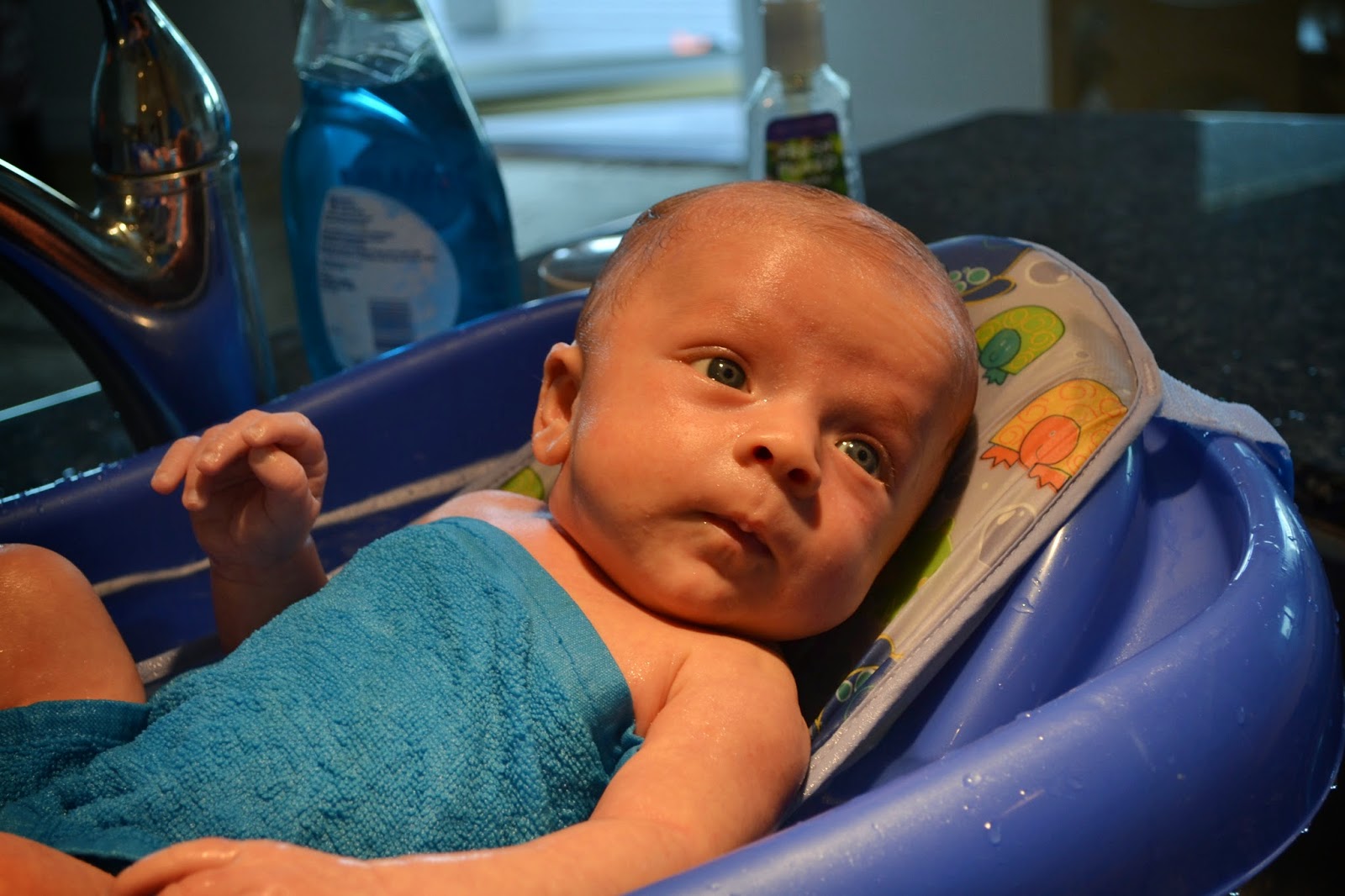 Lunde s modern life 6 weeks old