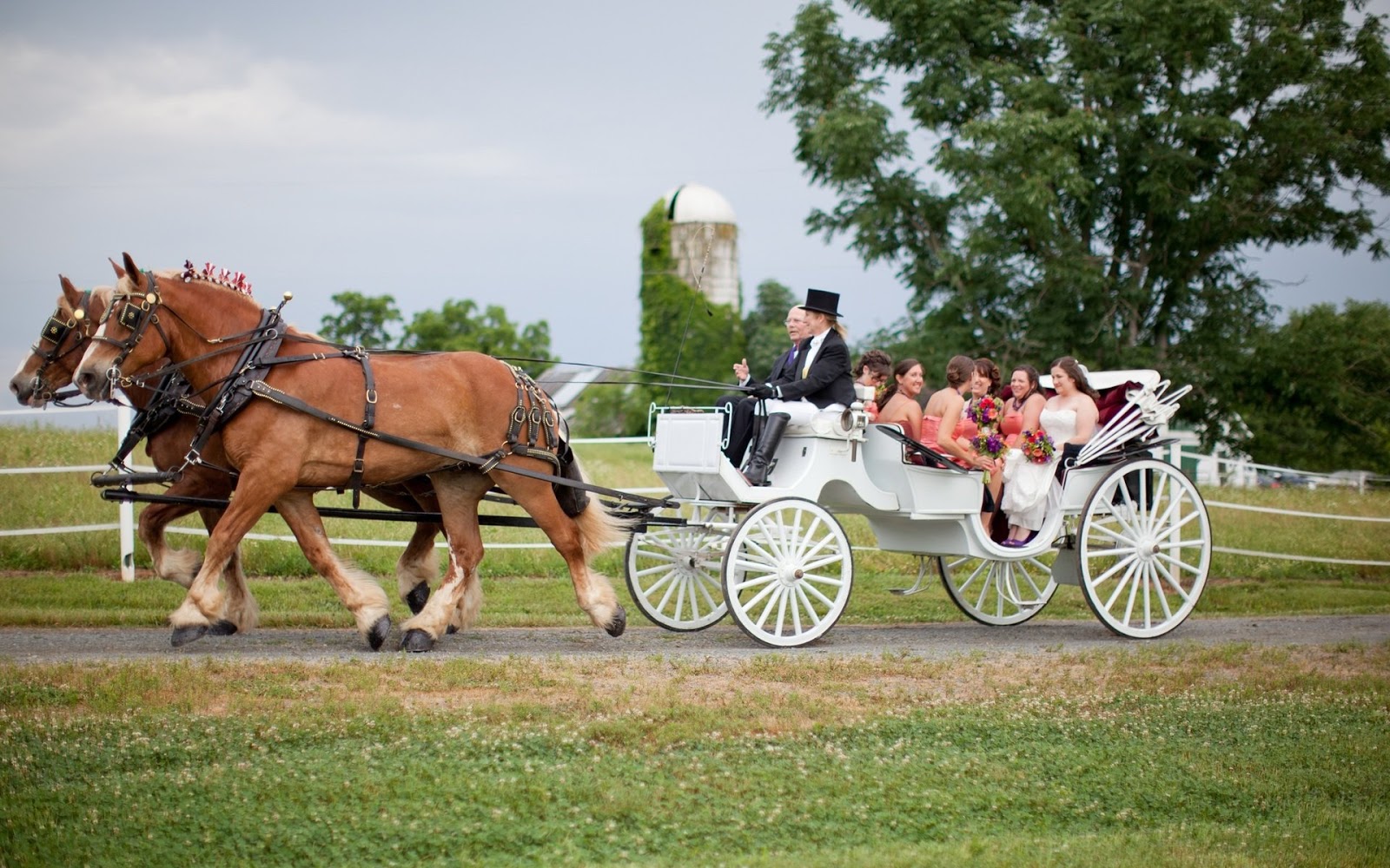 Карета дилижанс петергоф. Повозка прогулочная. Как называется повозка с лошадьми. Запряженная лошадь. Дилижанс карета.