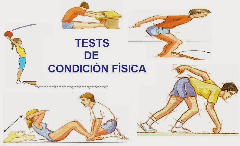 BAREMOS TESTS C.F.