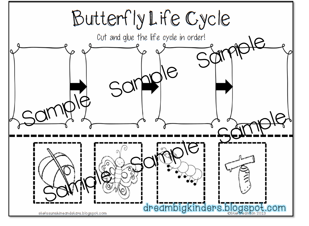 dream-big-kinders-butterfly-life-cycle-nonfiction-reading-comprehension