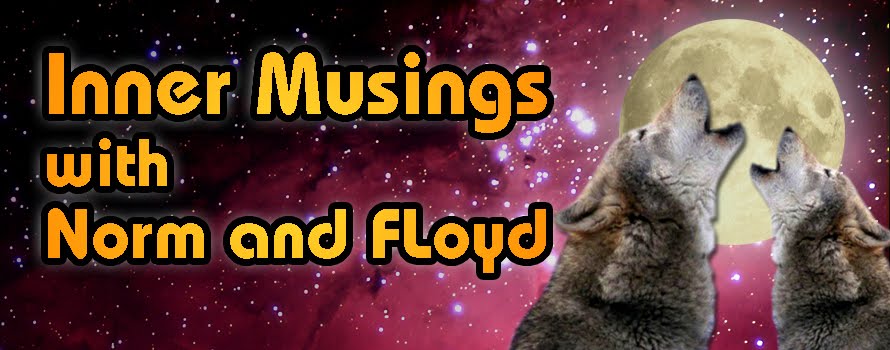 Inner Musings with Norm and Floyd