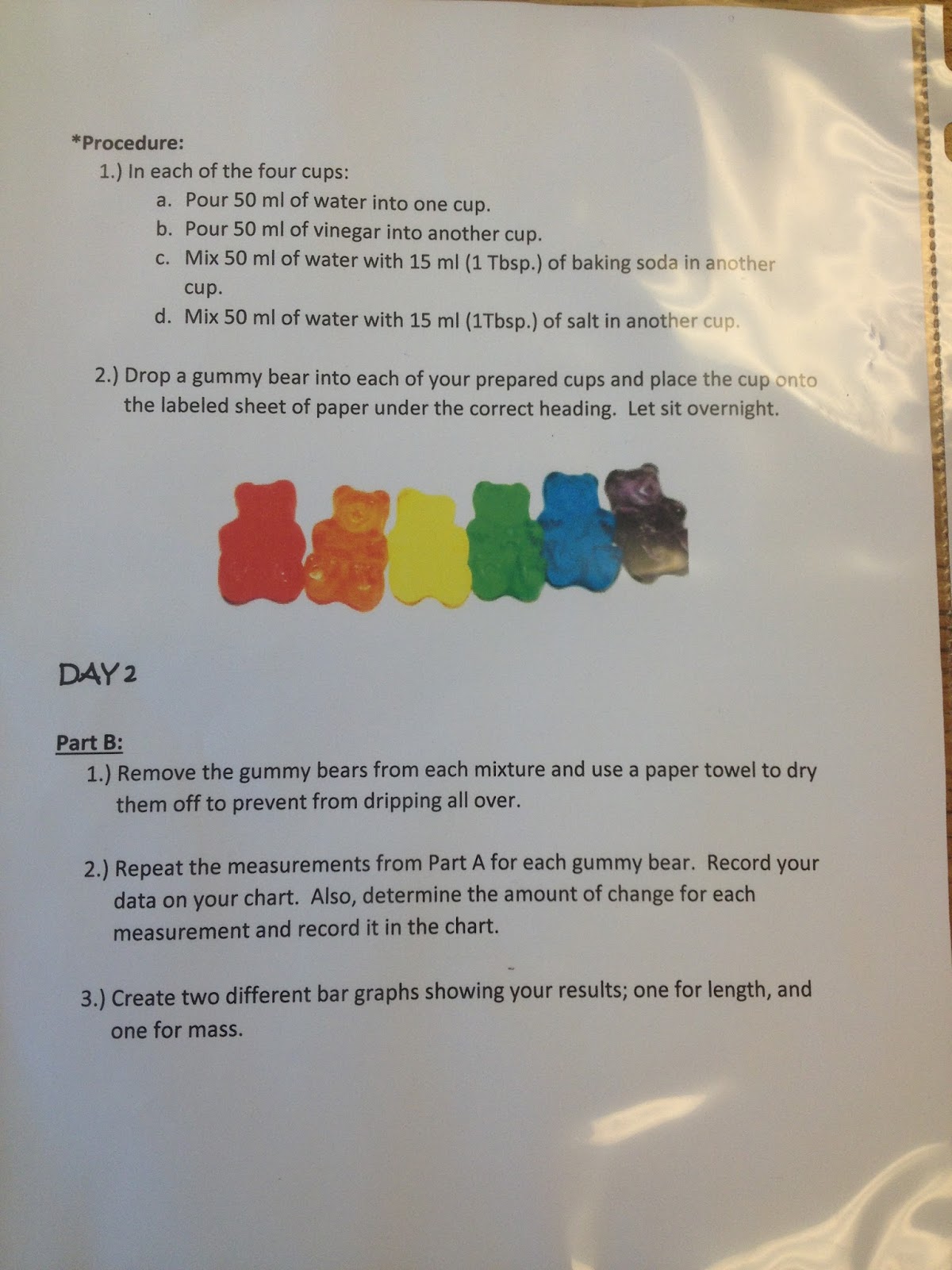 Third Grade's a Charm: Gummy Bear Science Experiment