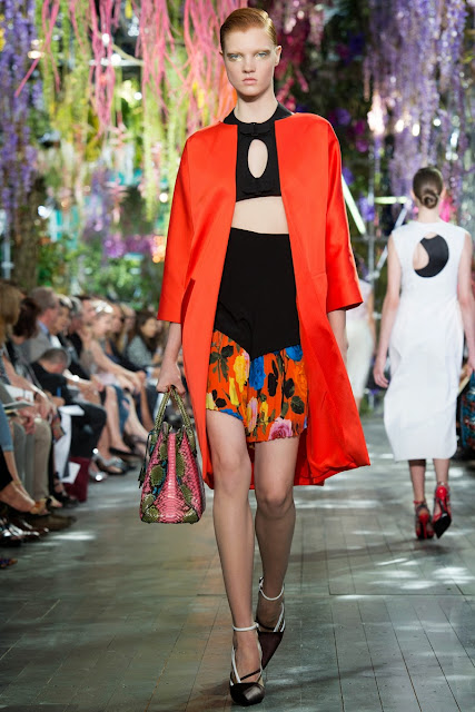 ANDREA JANKE Finest Accessories: DIOR Spring/Summer 2014 RTW