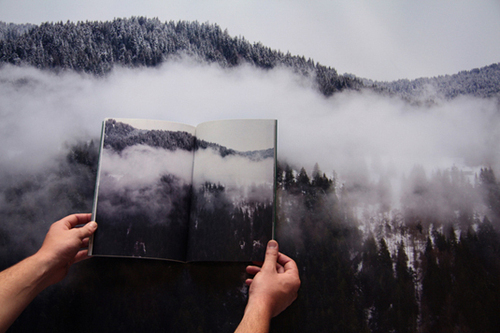 Photo Collection! Photo Collection!
