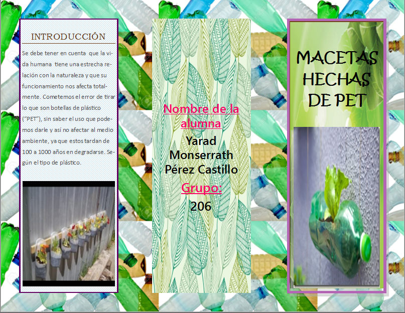 Reciclaje De Botellas (pet): Maceteros Hechos Con Botellas (PET)