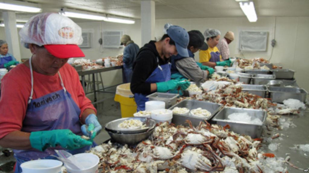 Crab Canning Manufacturers - Canned Crab Meats, Canned Crab Meat