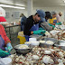 Crab Canning Manufacturers