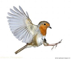 when do birds start flying south 5