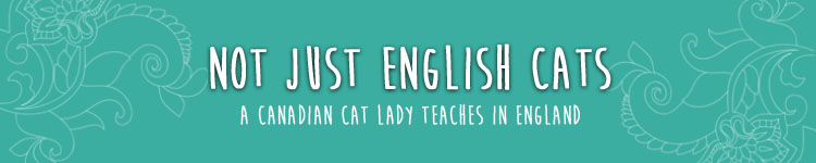 Not Just English Cats