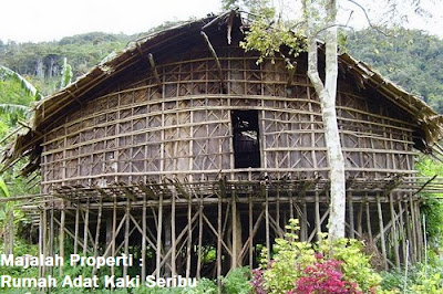 Desain Bentuk Rumah Adat Arfak dan Penjelasannya, Rumah Adat Papua Barat