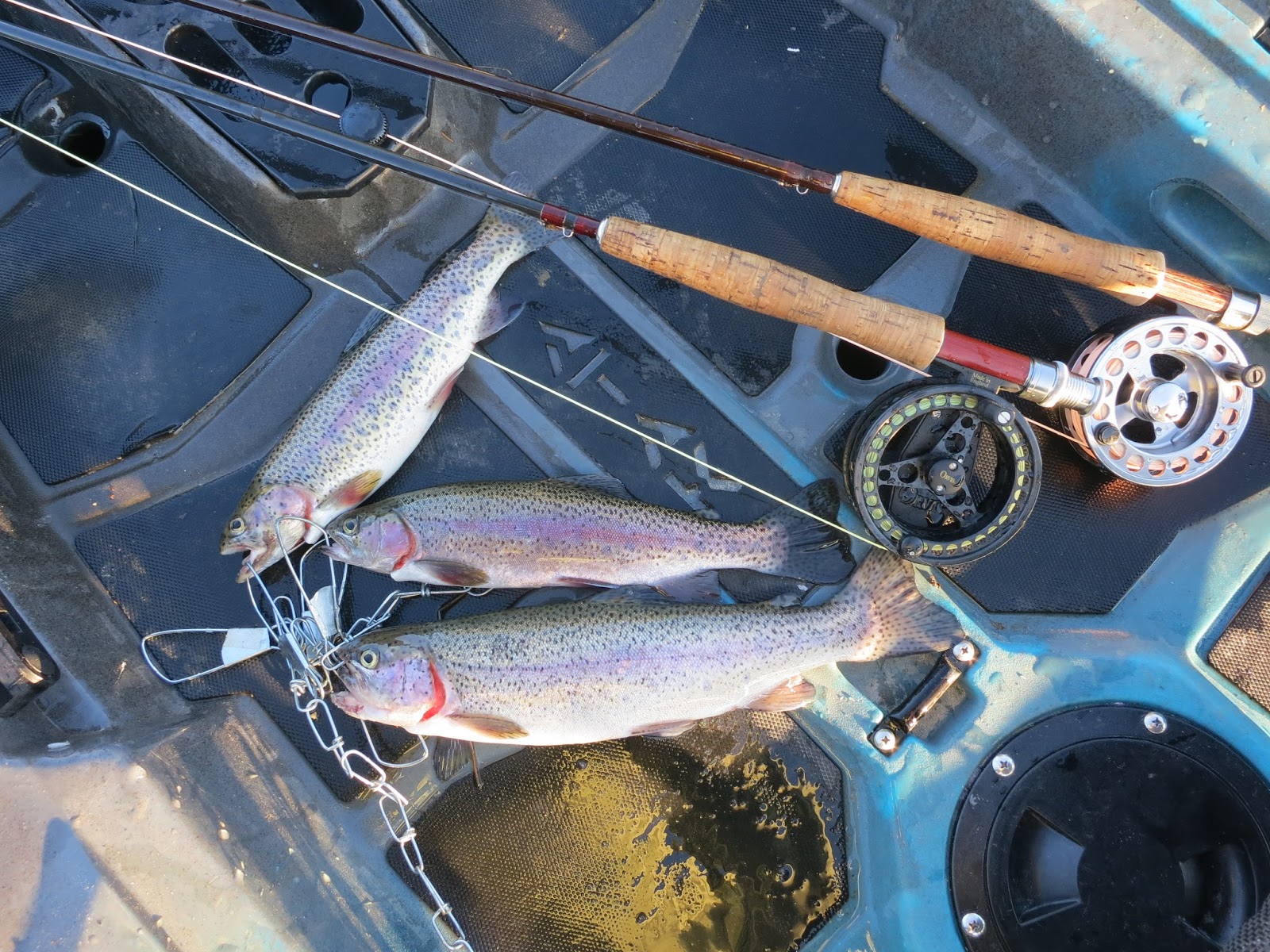 Fly Fishing 9 Weight NEW Fly Fishing 9 Foot, 4Piece, 5/6 Weight Fly