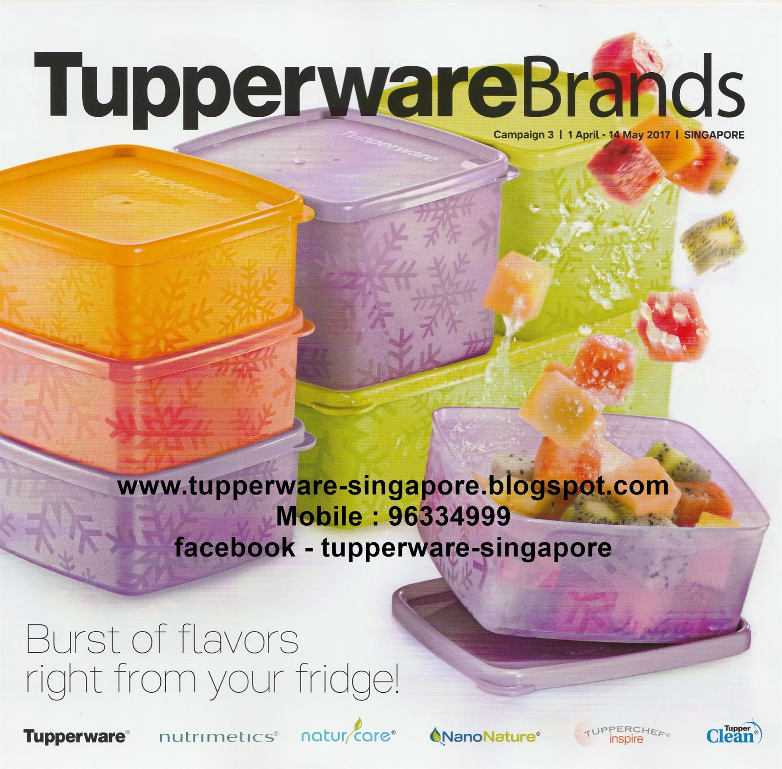Buy Tupperware in Singapore: Catalogue 3 - April 1st to May 14th 2017