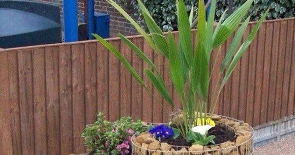 Great Garden project Anyone Could make one : - DIY Projects