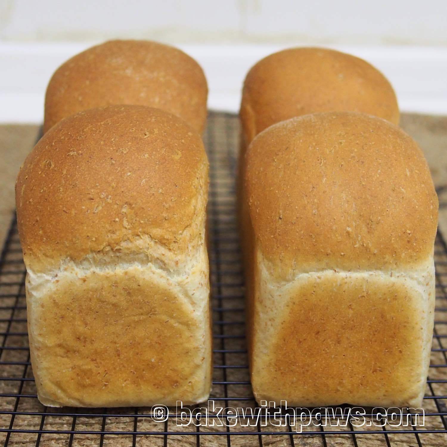 Spelt Wholemeal Bread BAKE WITH PAWS