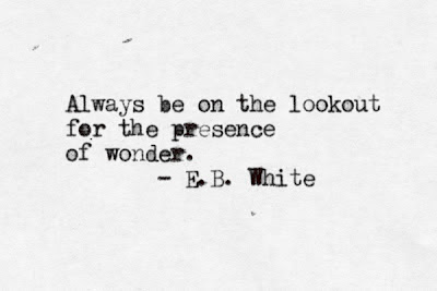 Always be on the lookout for the presence of wonder. E.B. White