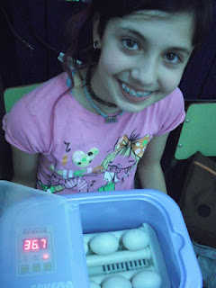 Esta soy yo con los huevos en la incubadora