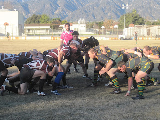 rugby alive playing well albeit nurse musings prop sore southern bit california fan american