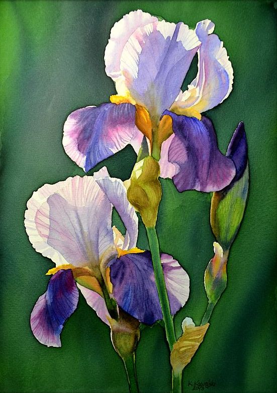 Watercolors by Krzysztof Kowalski: Purple iris