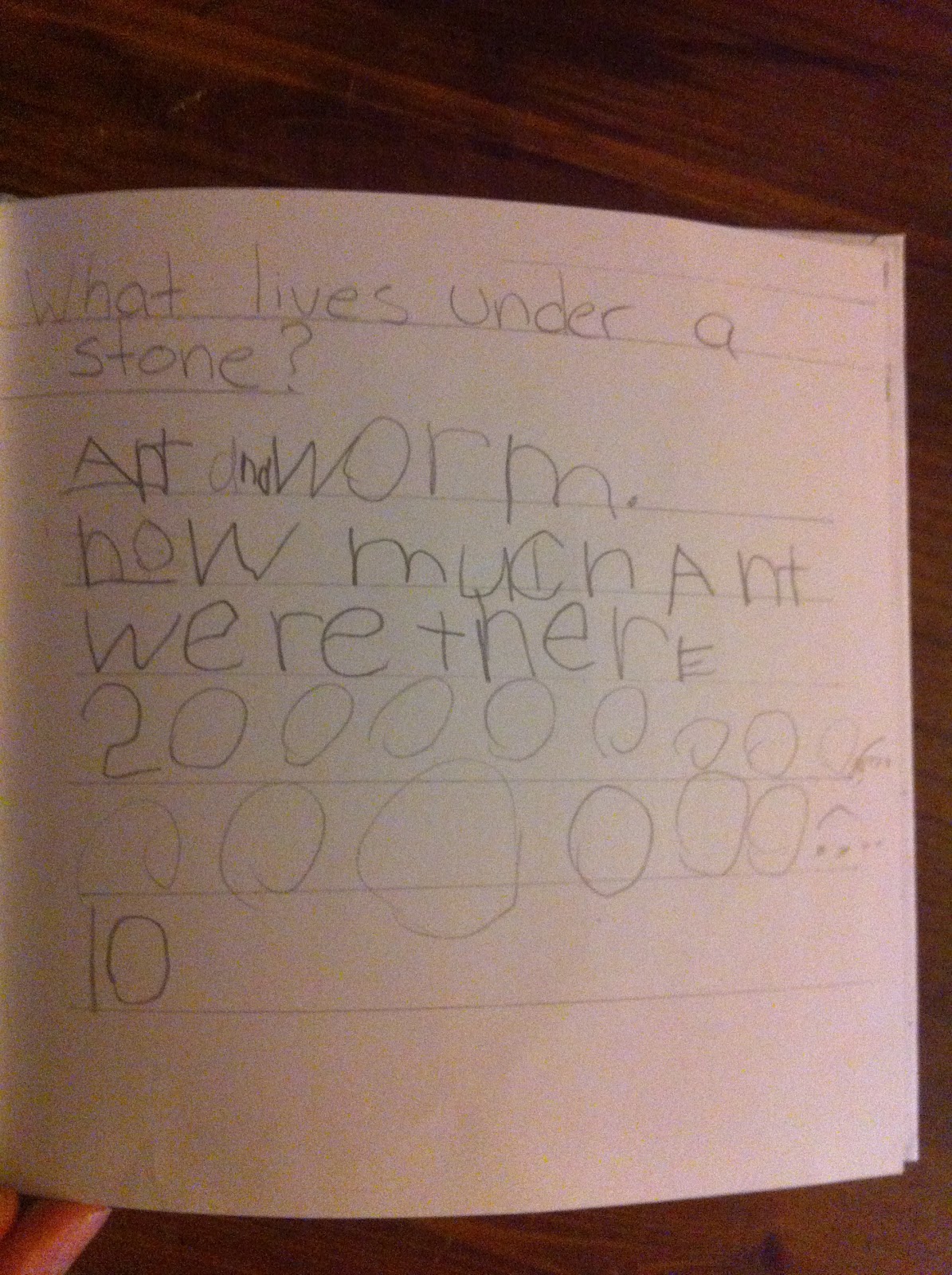 Example essay about my friend image