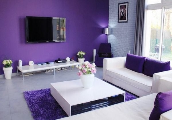 Violet Living Room Furniture Design Ideas Violet Living Room Furniture Design Ideas