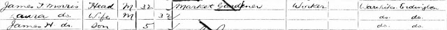 1901 census of England, Warwickshire, Civil parish of Erdington, Ecclesiastical parish of Erdington St Barnabas, folio 33, page 24, Laura Morris; digital images, Ancestry.com, Ancestry.com (http://www.ancestry.com : accessed 11 Jun 2018); citing PRO RG 13/2875.