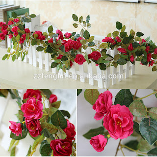 गुलाब का फूल डाउनलोड, गुलाब का फूल फोटो डाउनलोड, गुलाब शायरी, दिल के फोटो, गुलाब फूल की खेती, गुलाब के फूल के उपयोग, फूल गुलाब, कमल के फूल