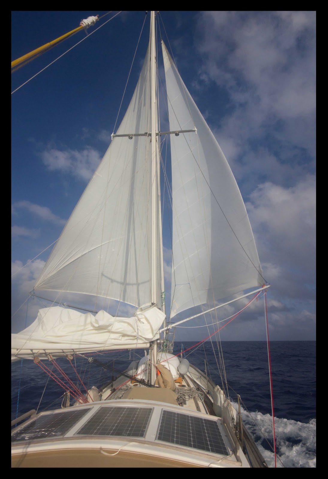Sailing Saviah Saint Helena to French Guiana (2013)